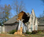 Sentry Construction Fallen Tree Damage Before